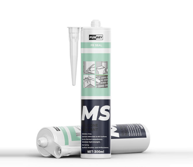 MS